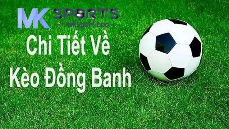 Những điểm nổi bật của kèo chấp đồng banh