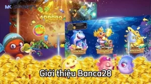 Giới Thiệu Banca28